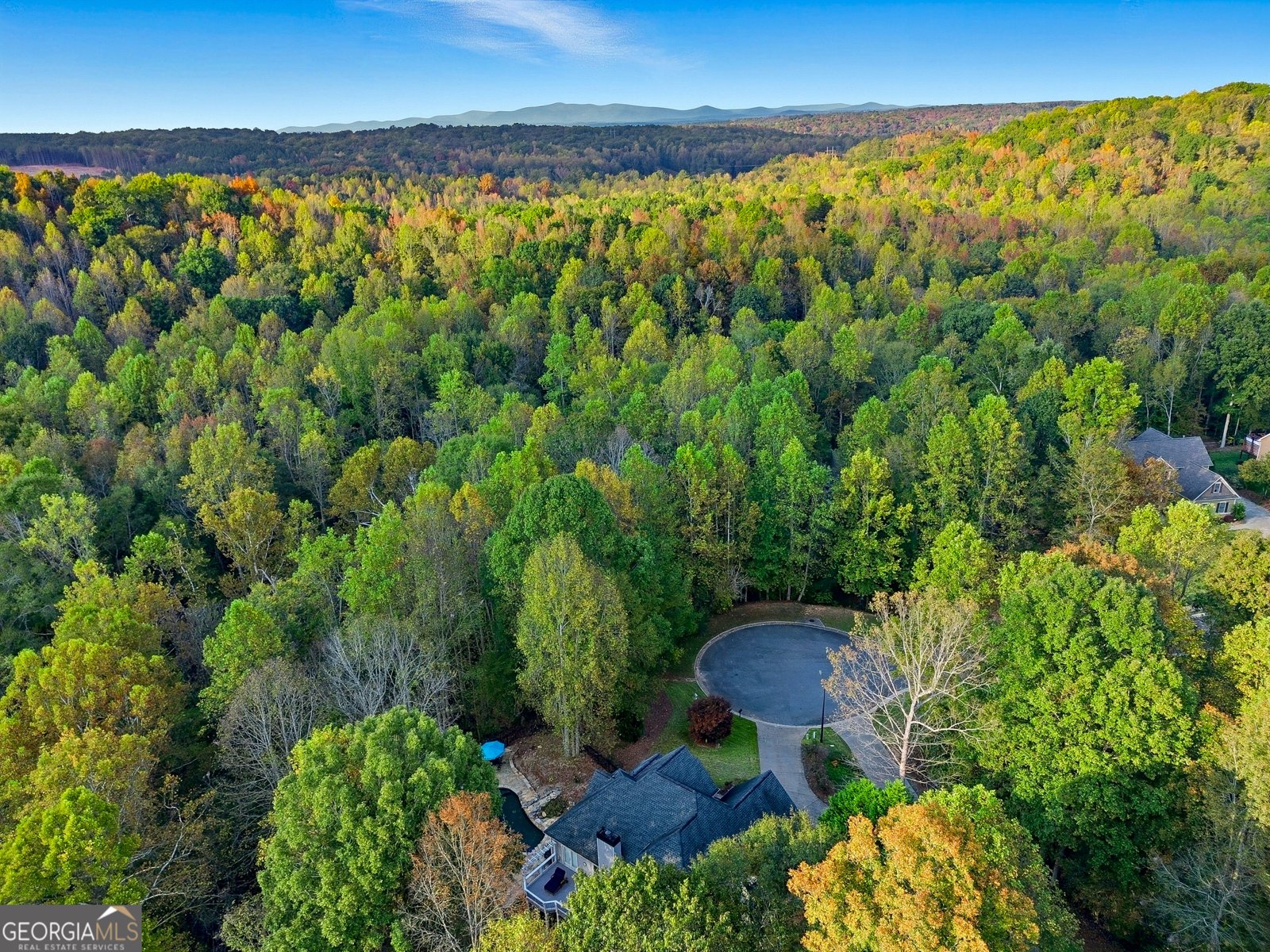 600 FOREST PINE Drive Ball Ground - 43