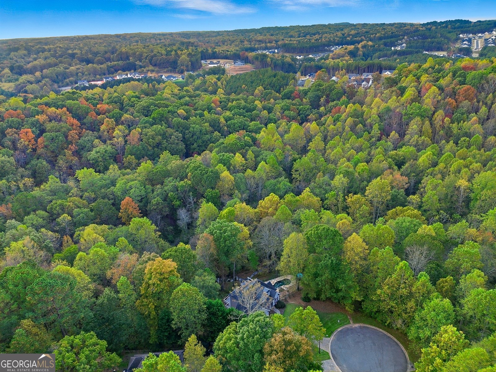 600 FOREST PINE Drive Ball Ground - 44