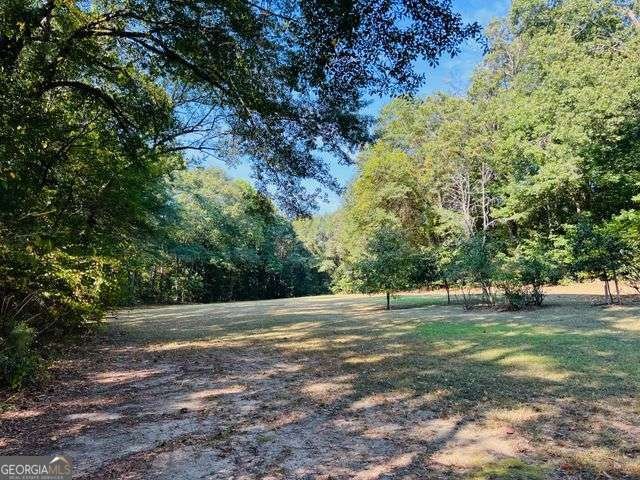 7315 Lee Road Lithia Springs - 16