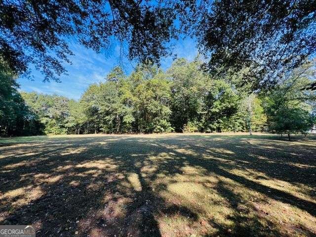 7315 Lee Road Lithia Springs - 17