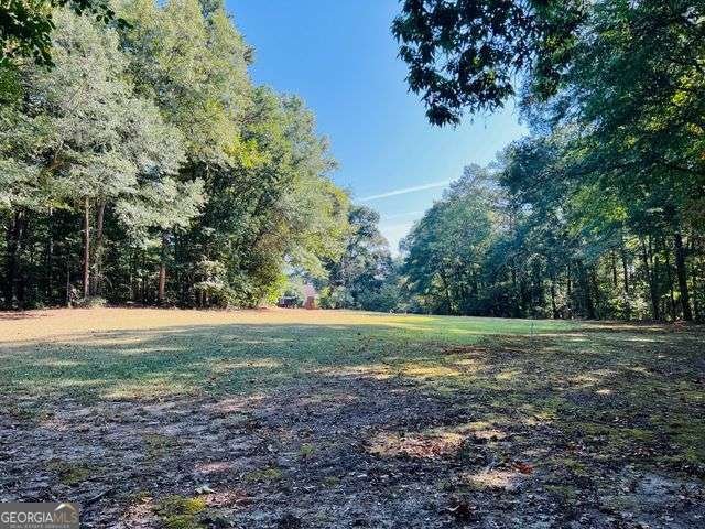 7315 Lee Road Lithia Springs - 19