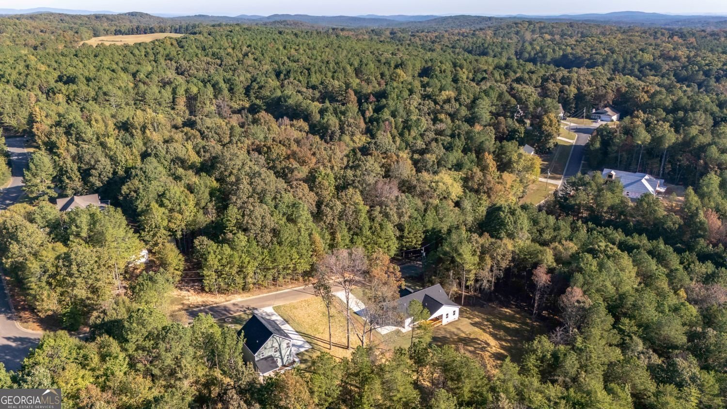 110 Mulberry Lane Lindale - 48