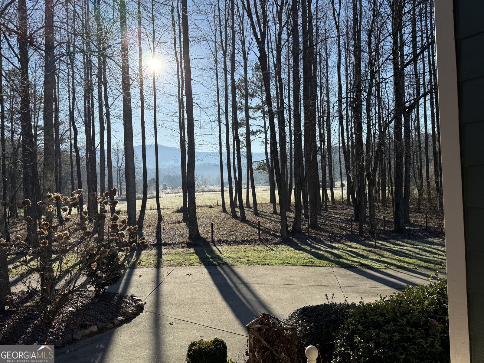 3349 Whitepath Road Ellijay - Photo 83