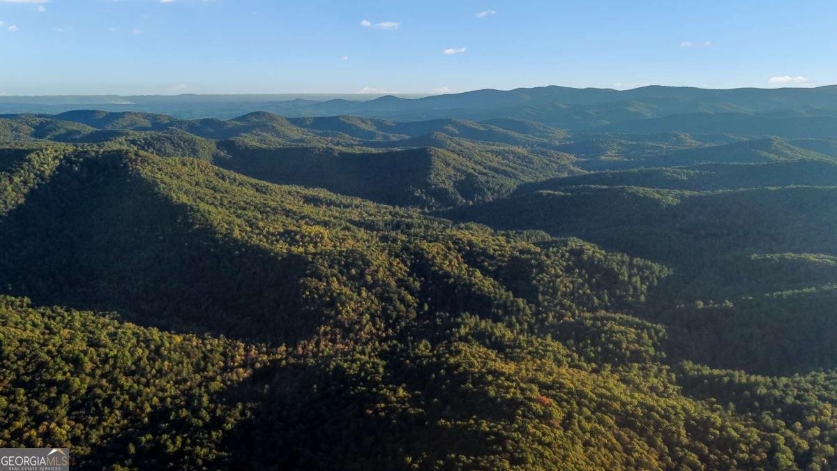 686 Laurel Hill Lane Ellijay - 38