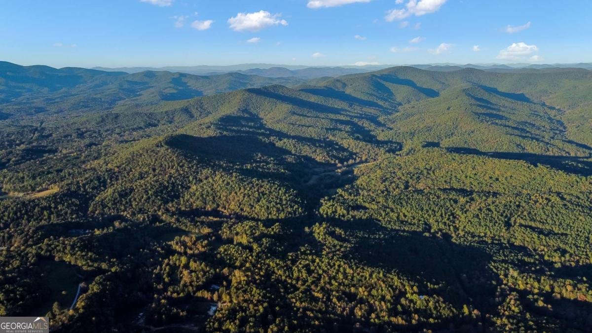 686 Laurel Hill Lane Ellijay - 39