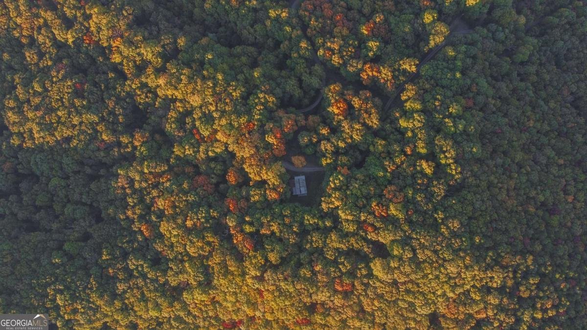 686 Laurel Hill Lane Ellijay - 40