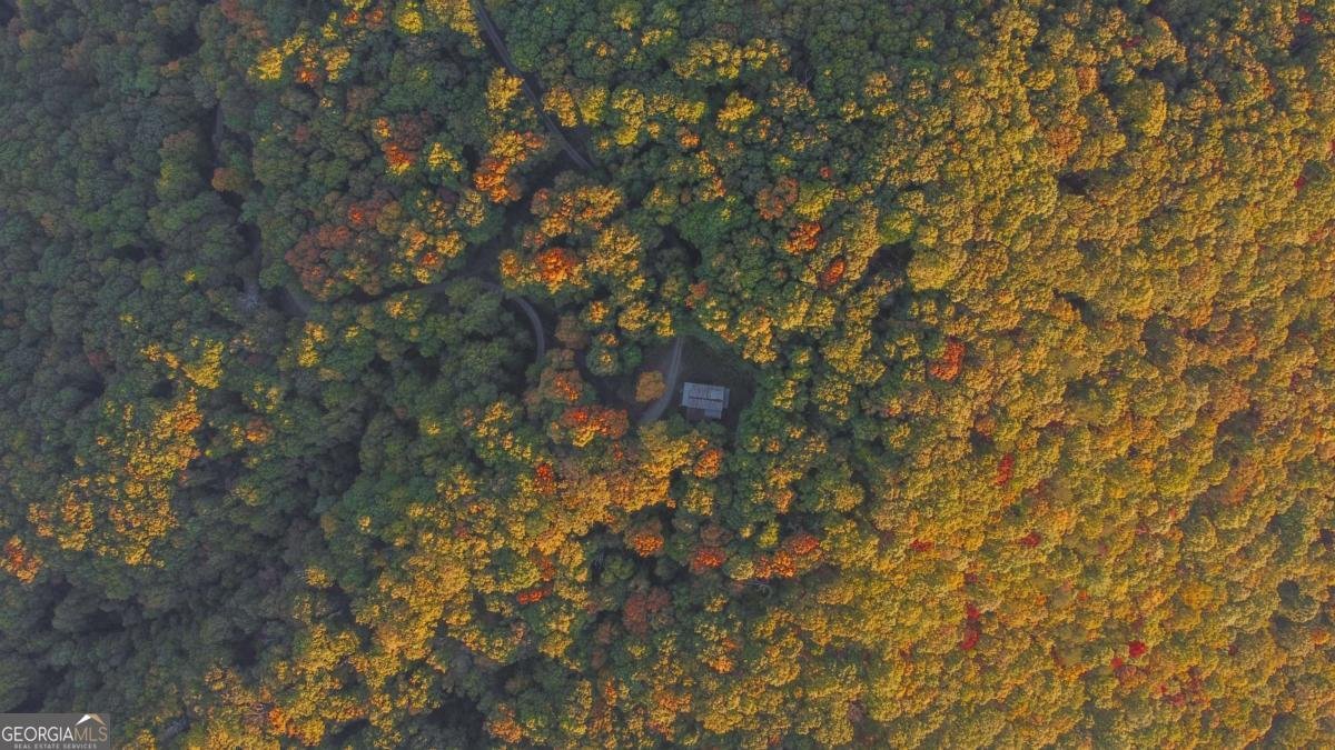 686 Laurel Hill Lane Ellijay - 41