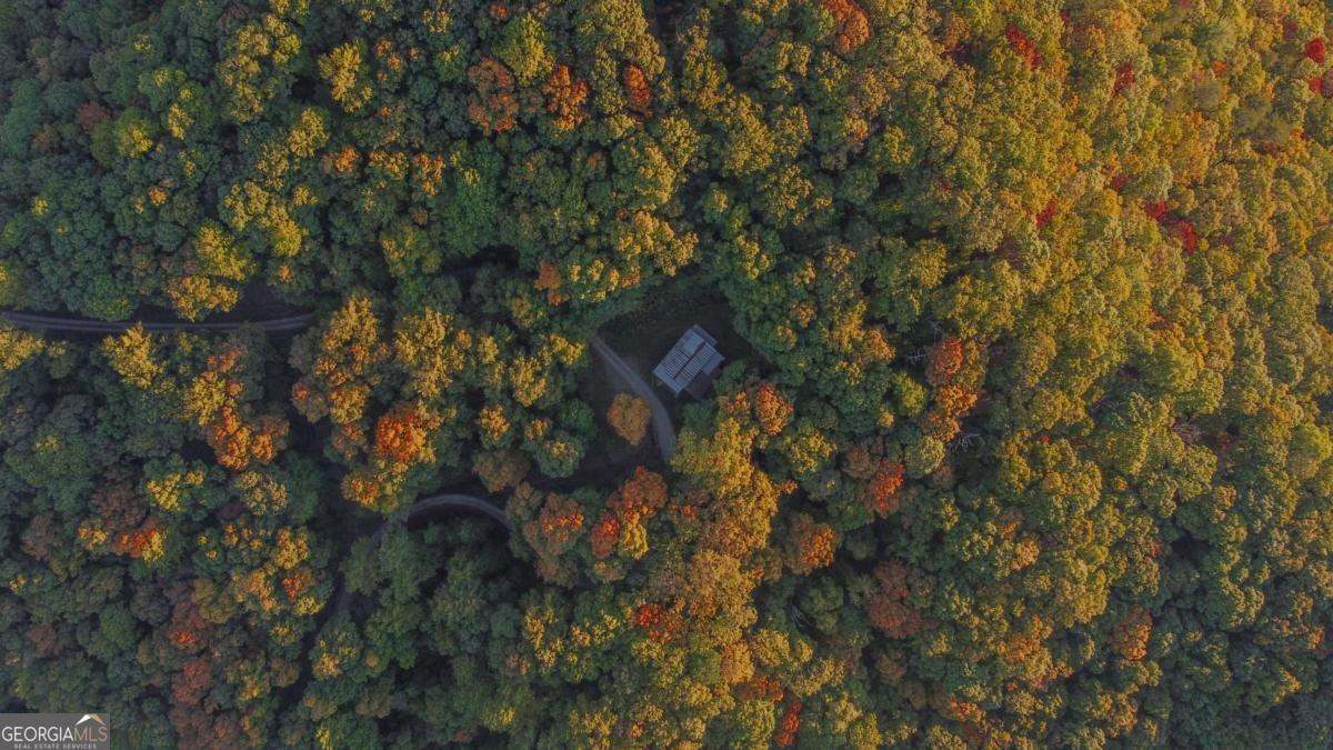 686 Laurel Hill Lane Ellijay - 42