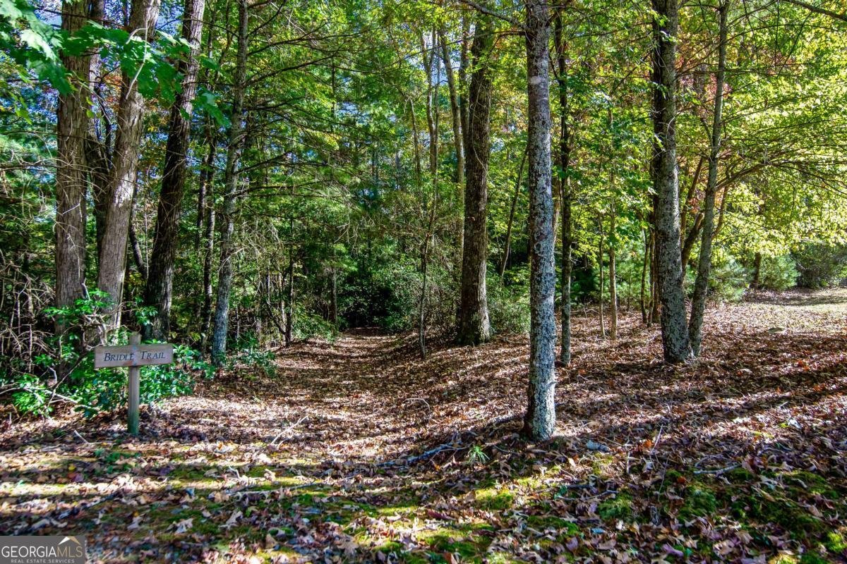 686 Laurel Hill Lane Ellijay - 43