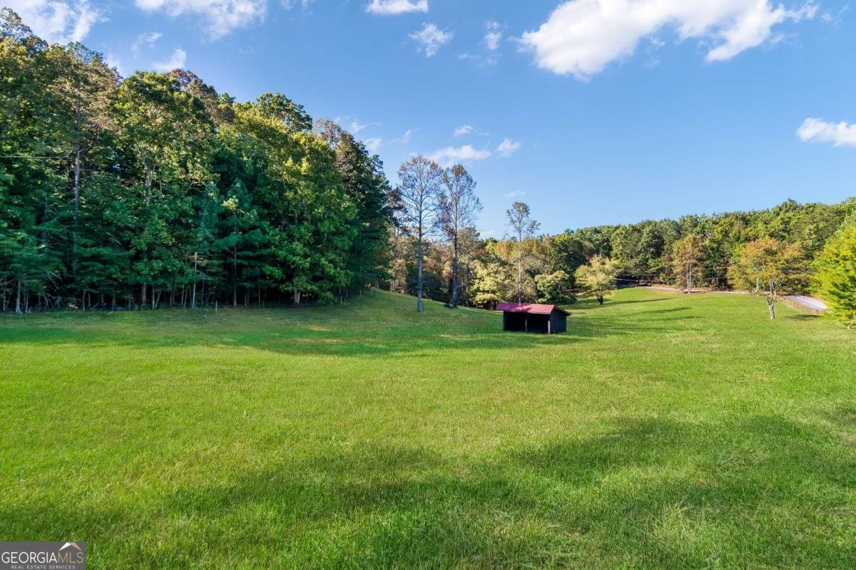 686 Laurel Hill Lane Ellijay - 54