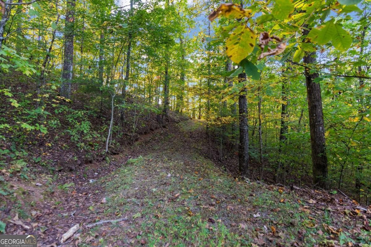 686 Laurel Hill Lane Ellijay - 56