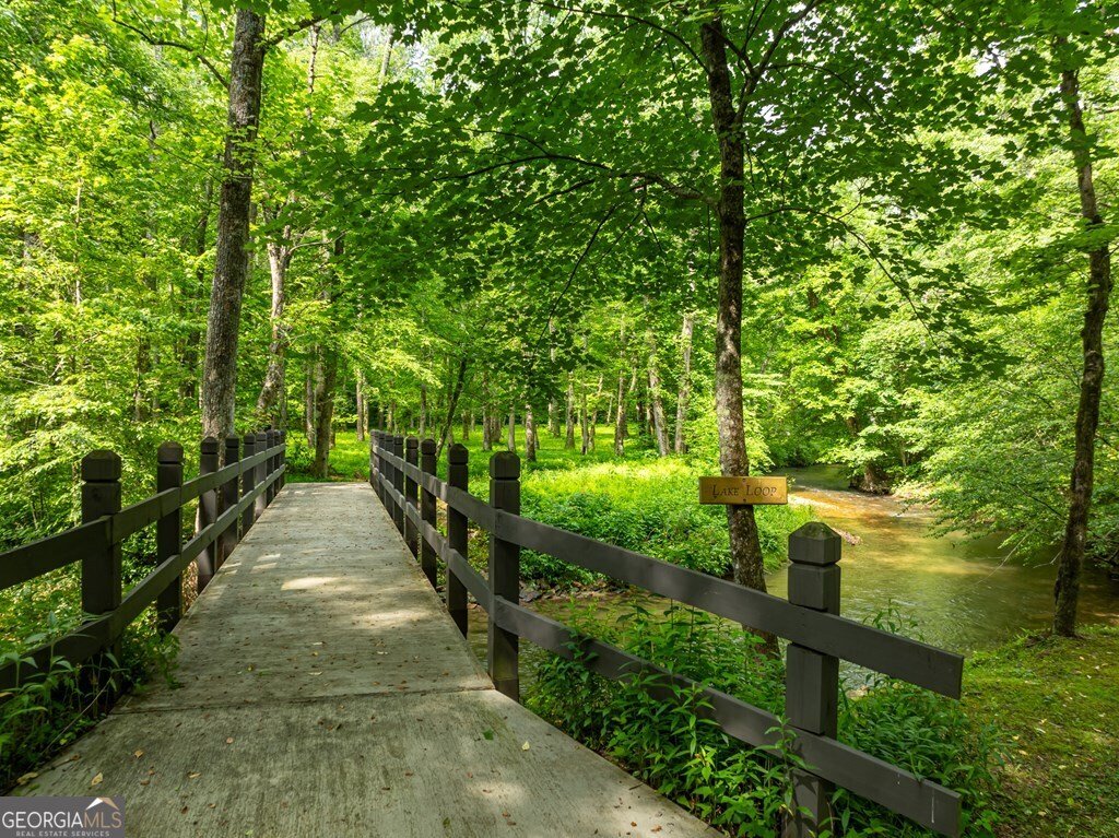 686 Laurel Hill Lane Ellijay - 57
