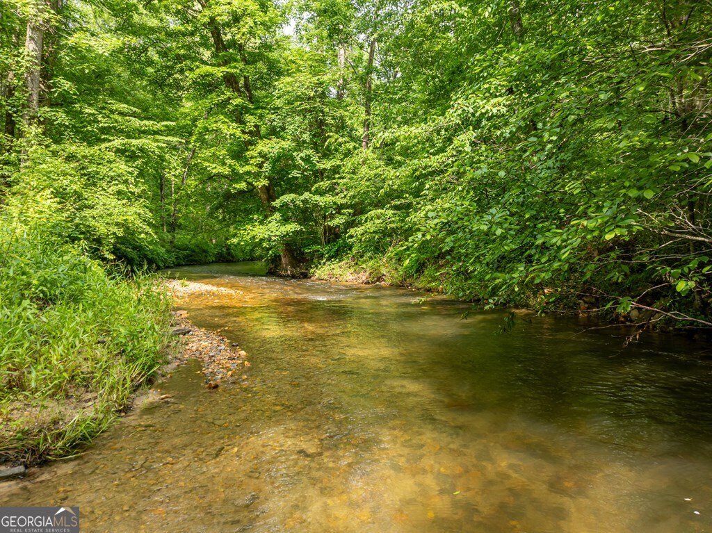 686 Laurel Hill Lane Ellijay - 58