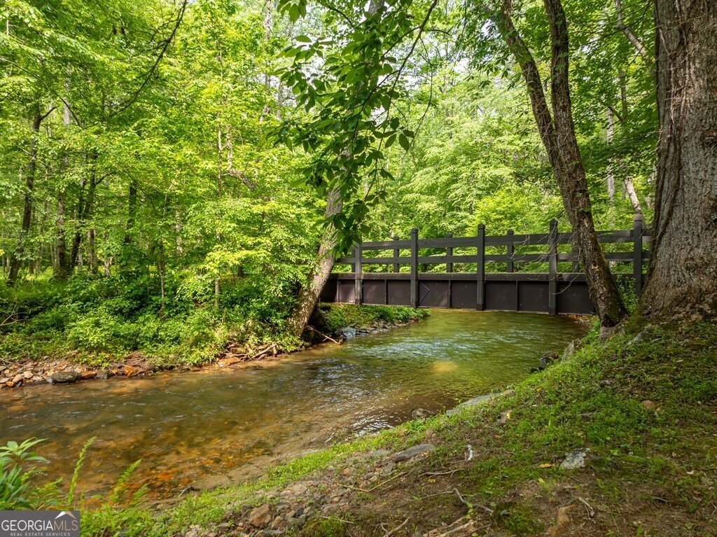 686 Laurel Hill Lane Ellijay - 60