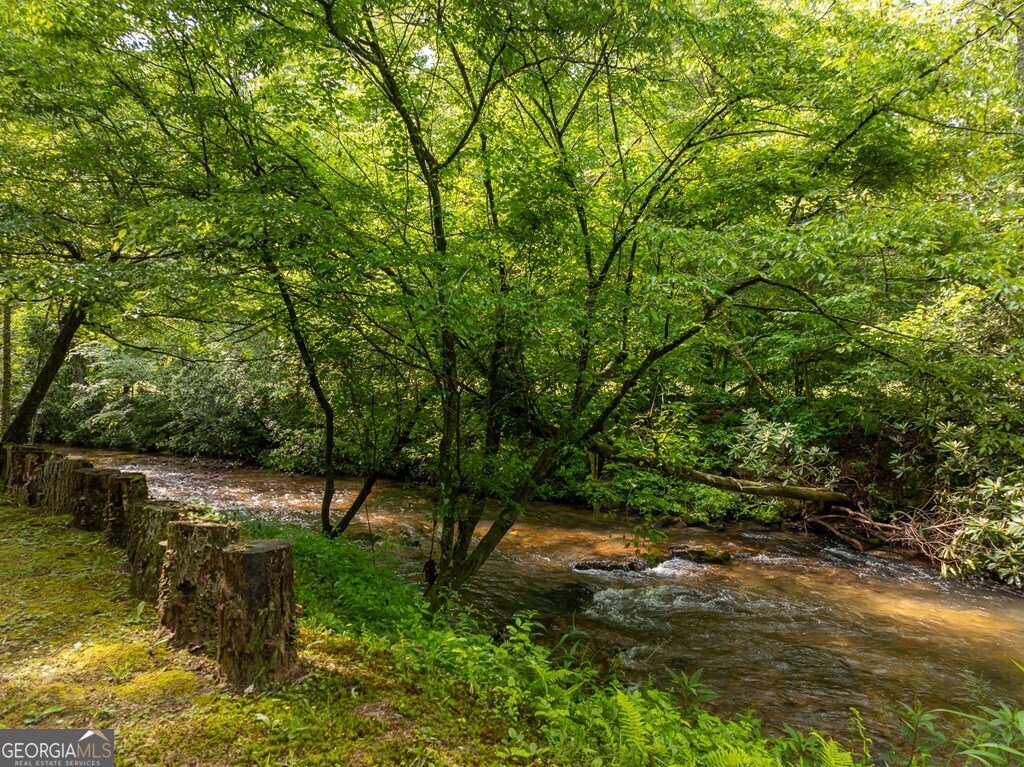 686 Laurel Hill Lane Ellijay - 64