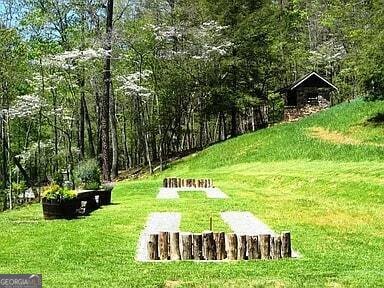 686 Laurel Hill Lane Ellijay - 70