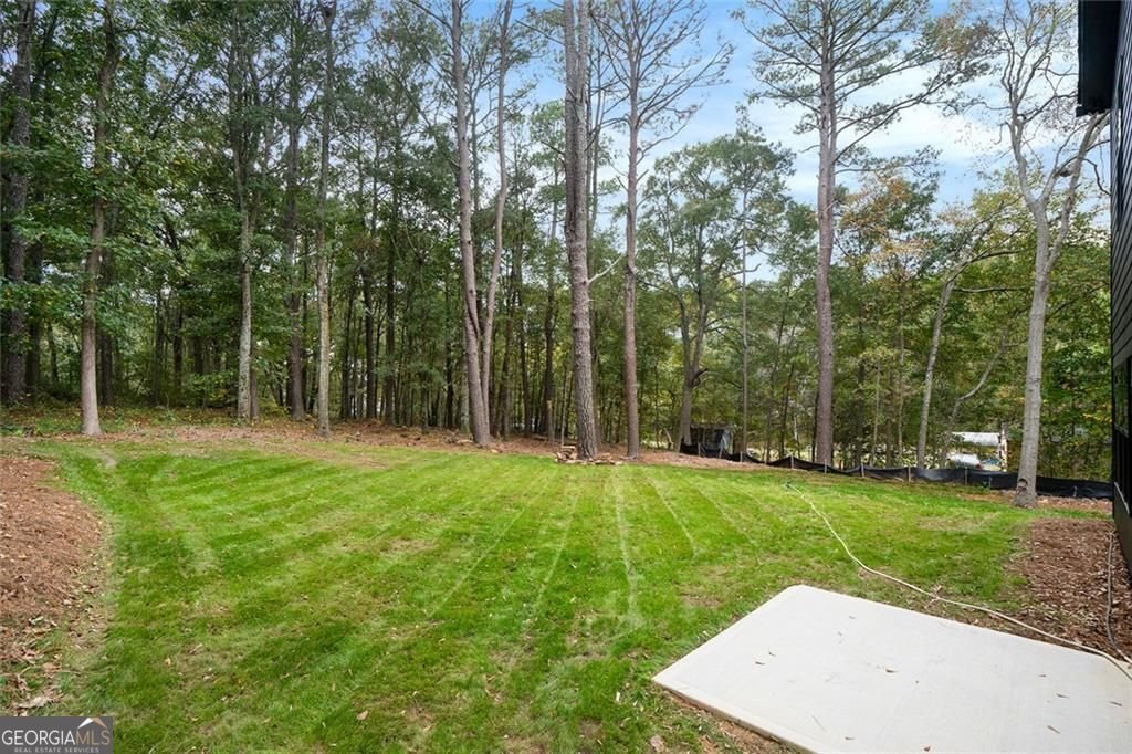 953 Remington Drive Conyers - 17