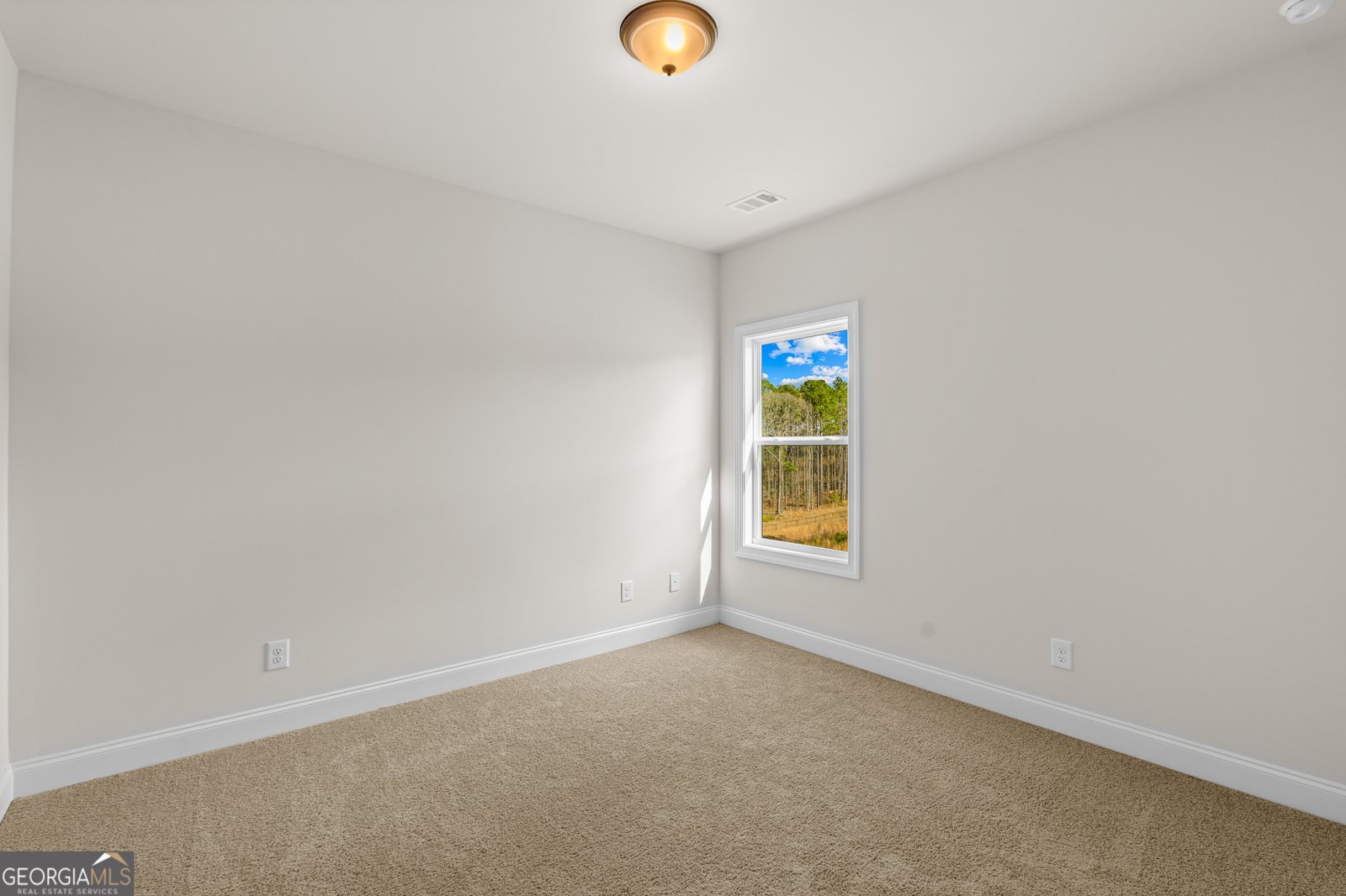 1057 Cherry Bark Court Loganville - Photo 17