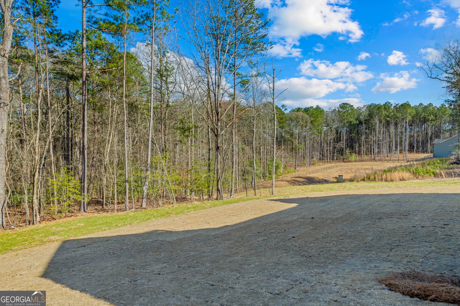 1057 Cherry Bark Court Loganville - Photo 26