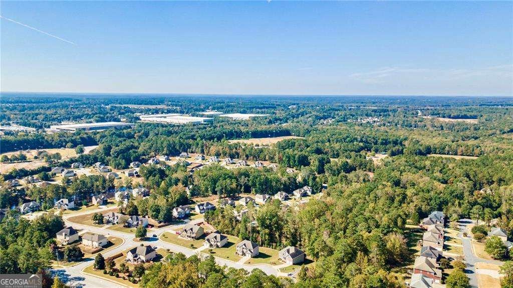 2506 Ginger Leaf Drive Conyers - 45