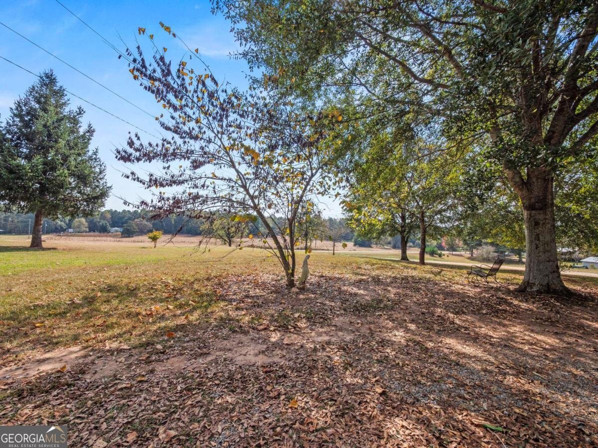 491 Queen Road Gillsville - 58