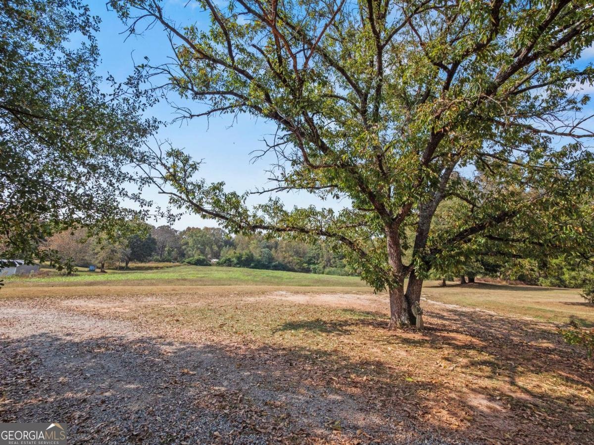 491 Queen Road Gillsville - 59