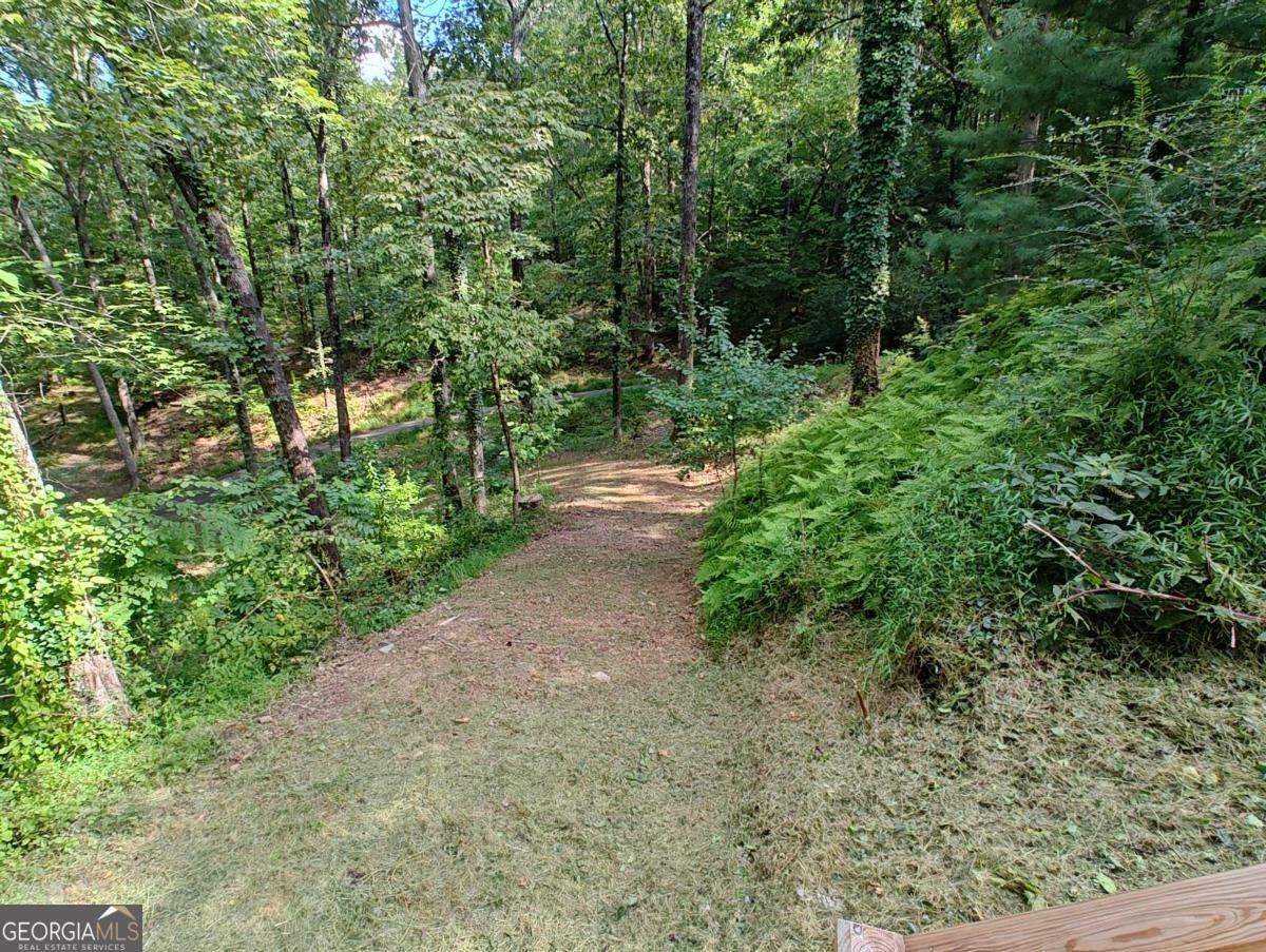 236 Grace Drive Blue Ridge - 19