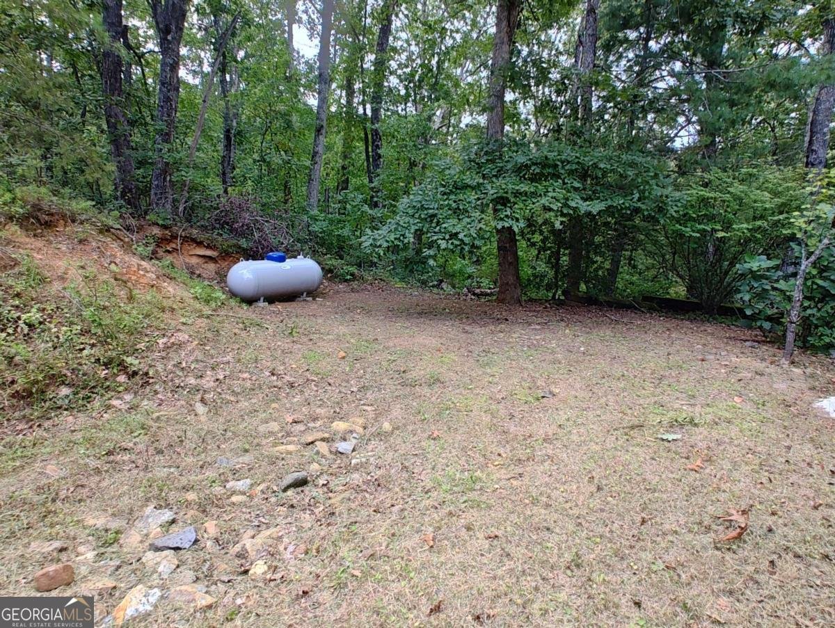 236 Grace Drive Blue Ridge - 21