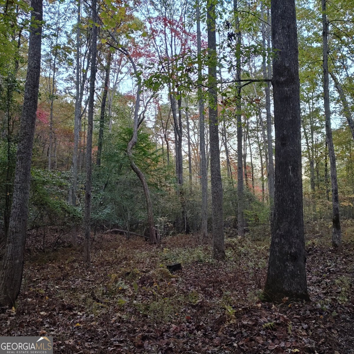 236 Grace Drive Blue Ridge - 28