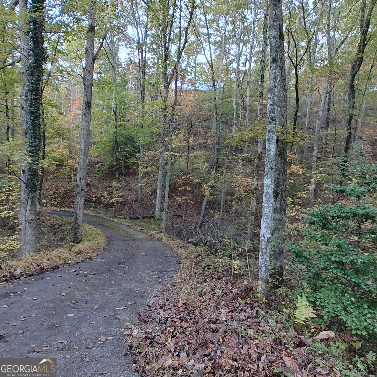 236 Grace Drive Blue Ridge - 29