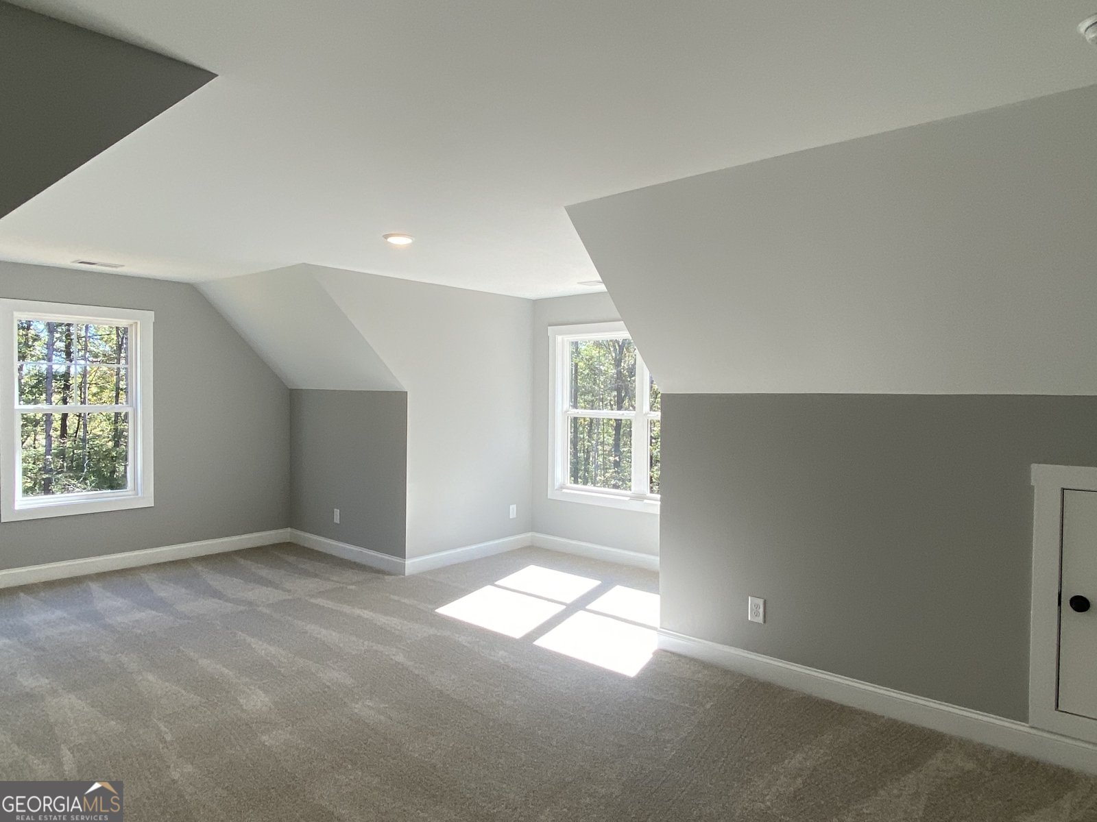 1544 English Road Forsyth - 23