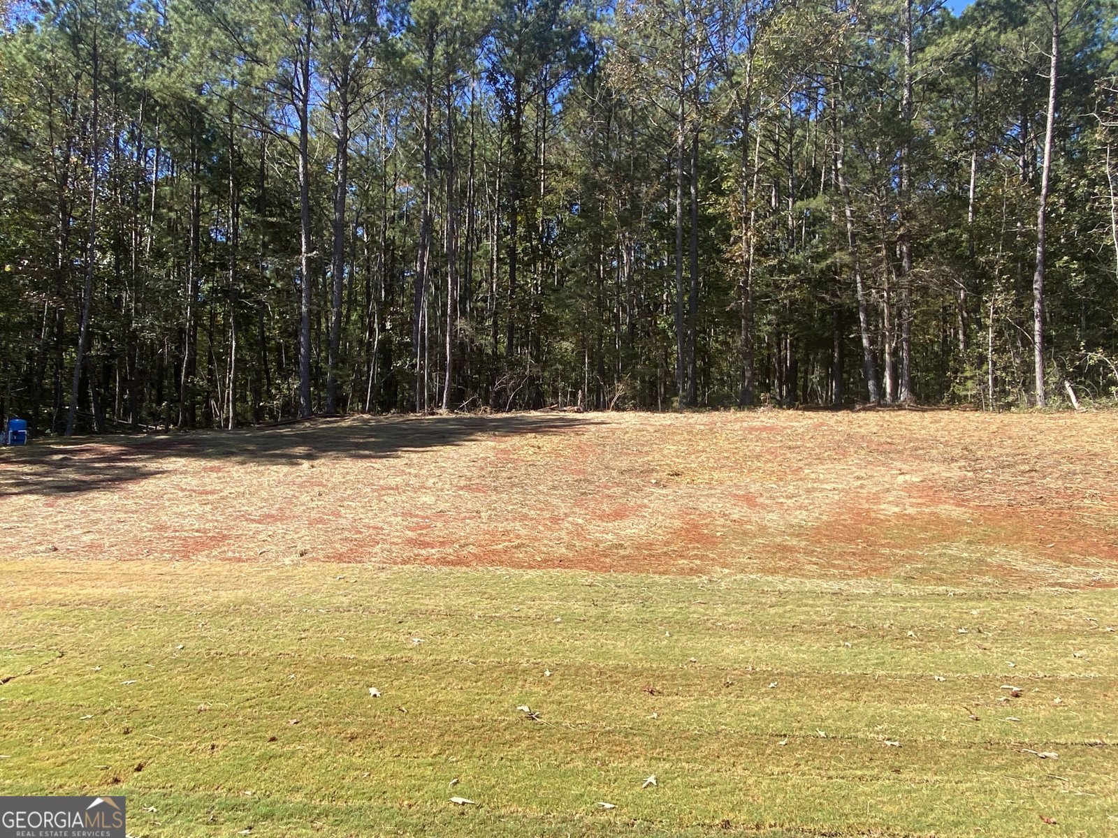 1544 English Road Forsyth - 31