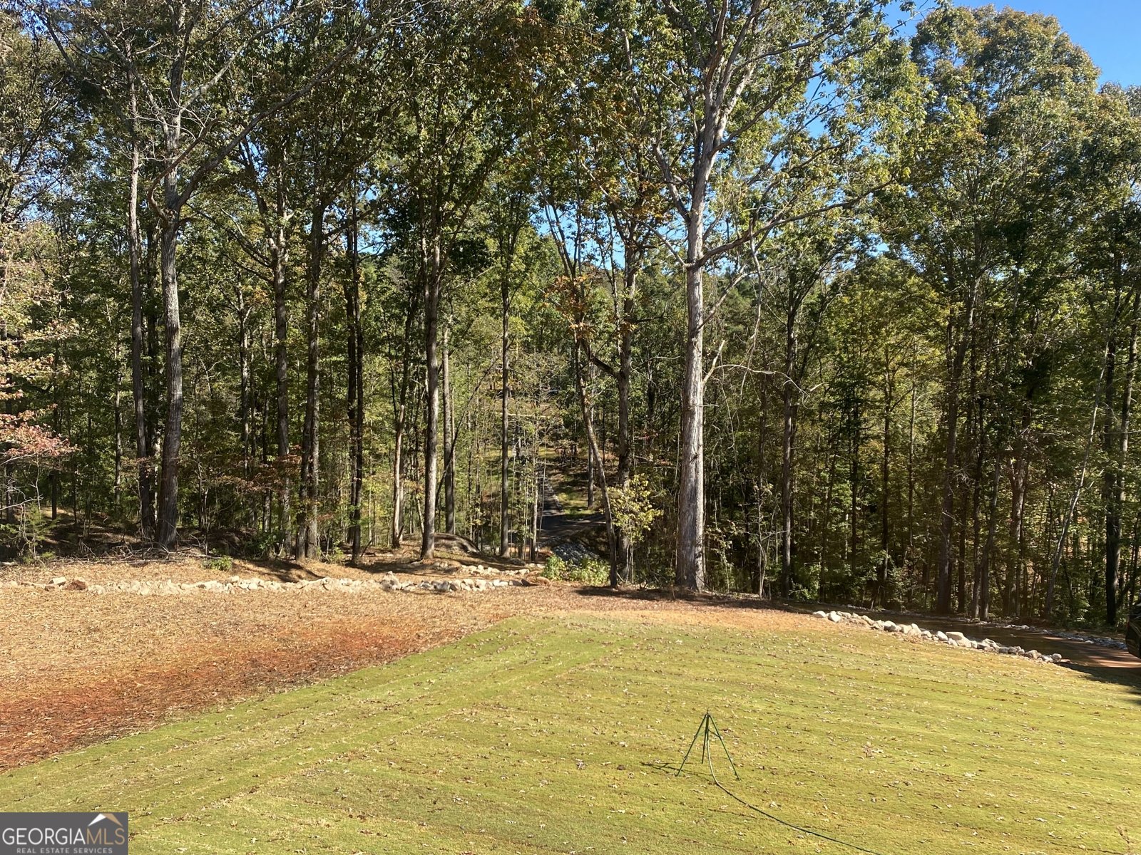 1544 English Road Forsyth - 32