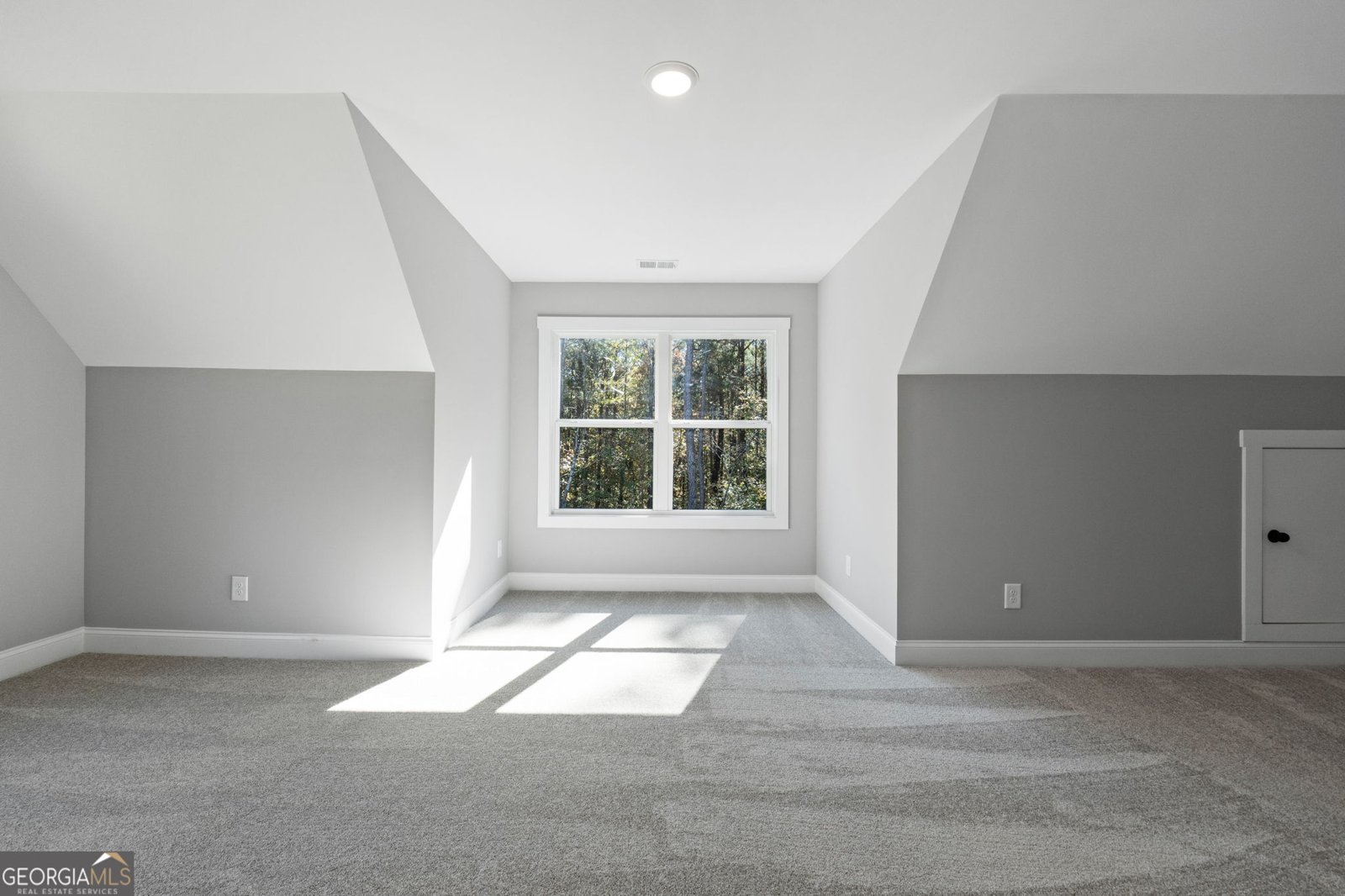 1544 English Road Forsyth - 36