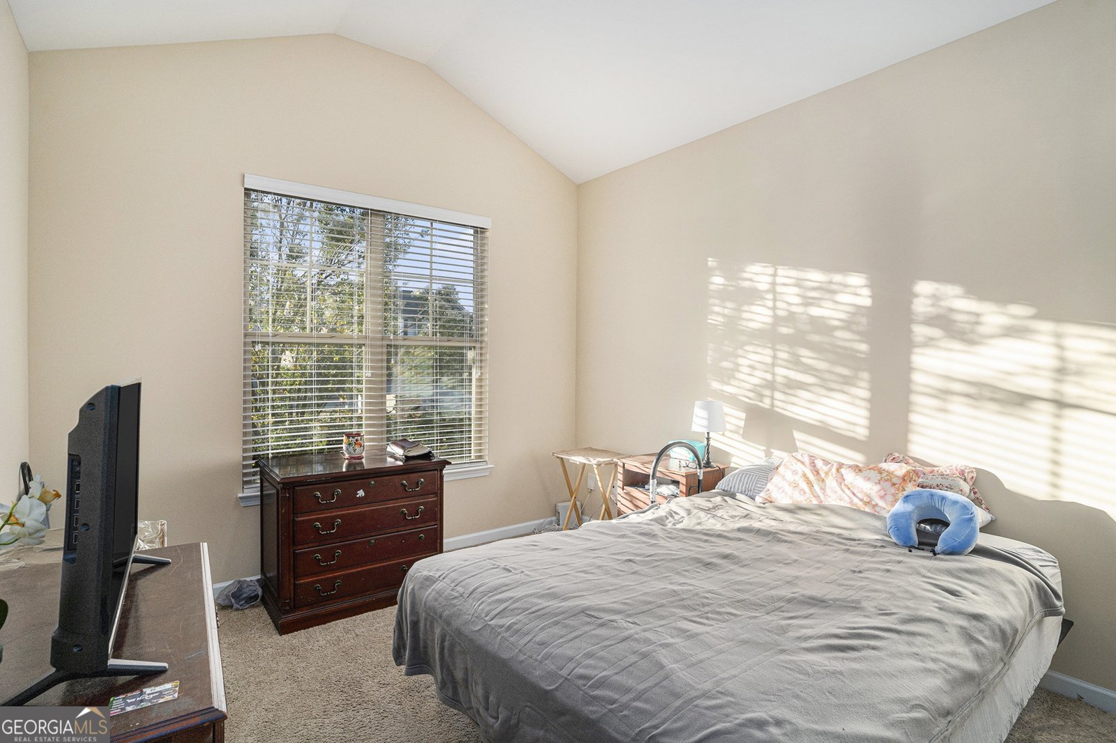 1611 Stillriver Run Drive Mcdonough - 23