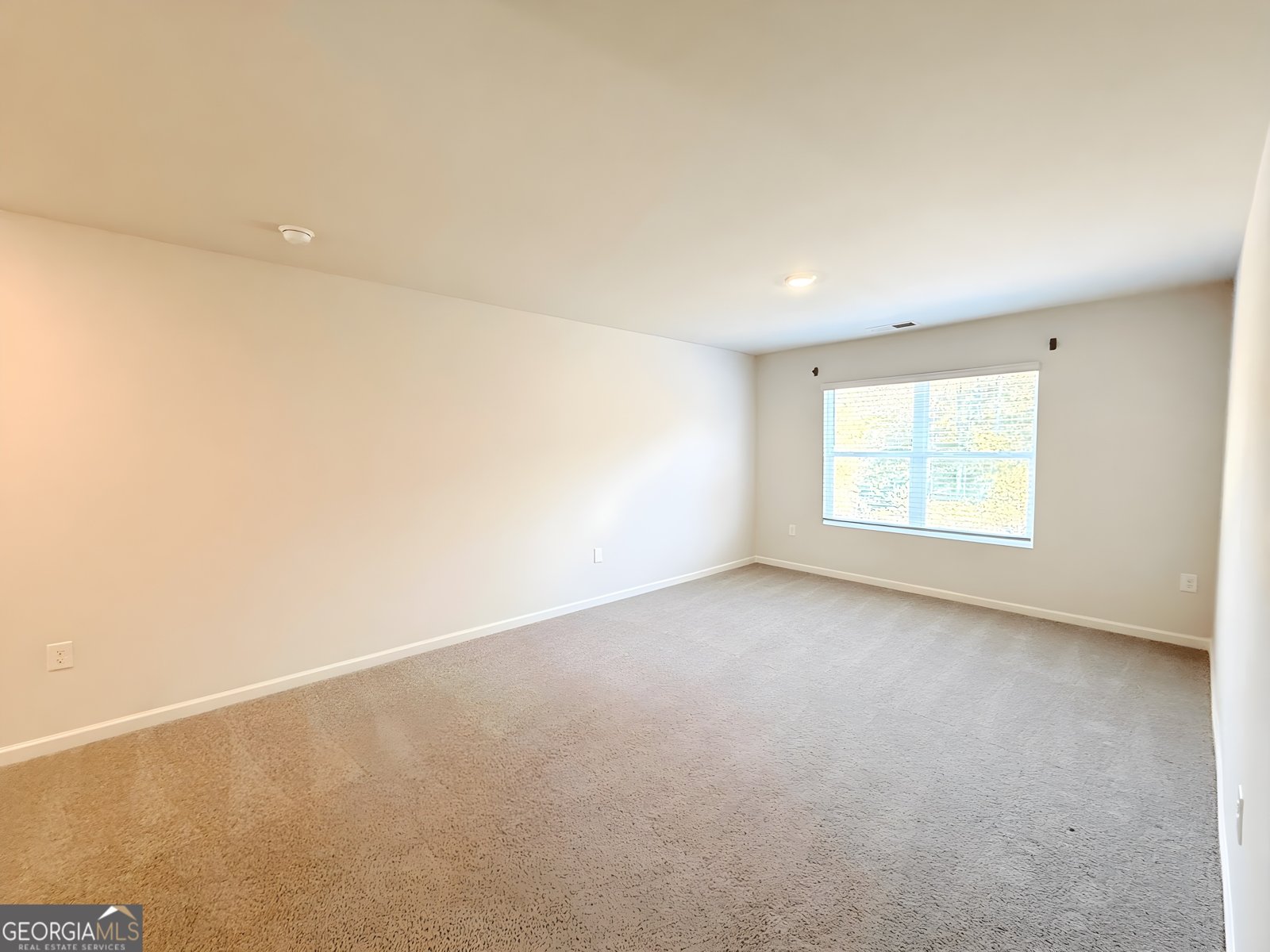 622 Brookfield Drive Braselton - 17