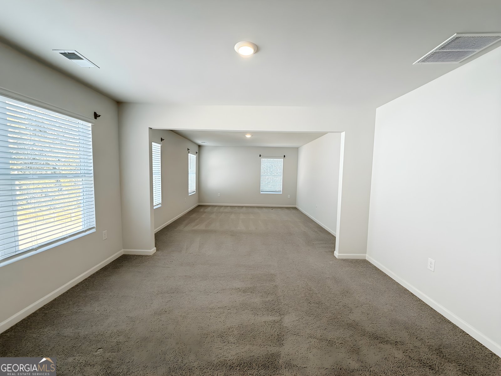 622 Brookfield Drive Braselton - 18