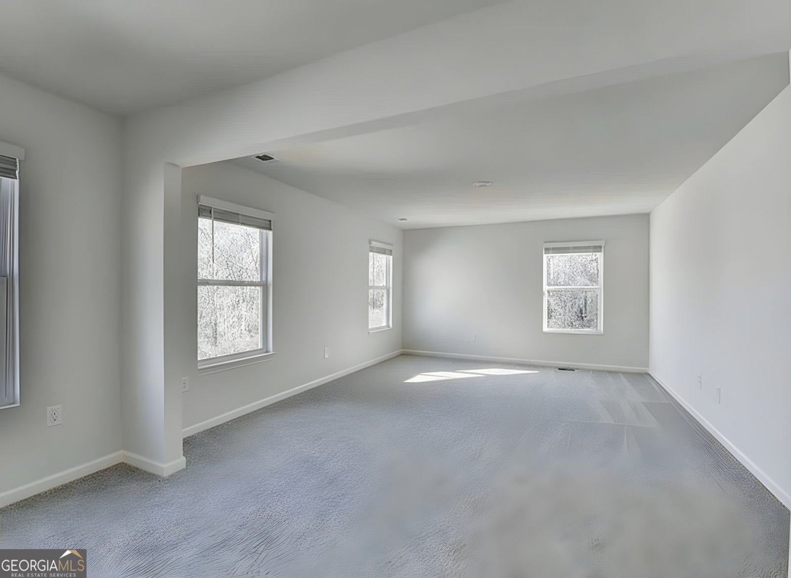 622 Brookfield Drive Braselton - 19