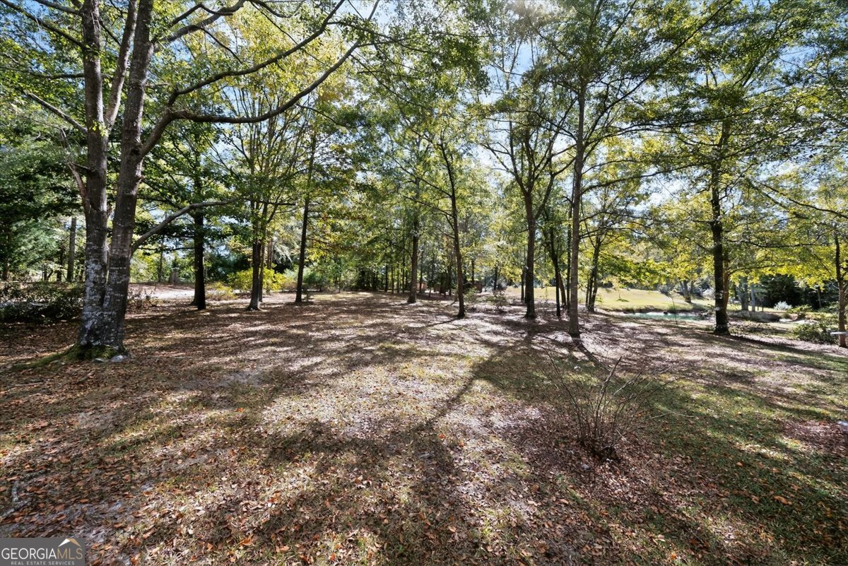 1659 Henderson Road Macon - 38