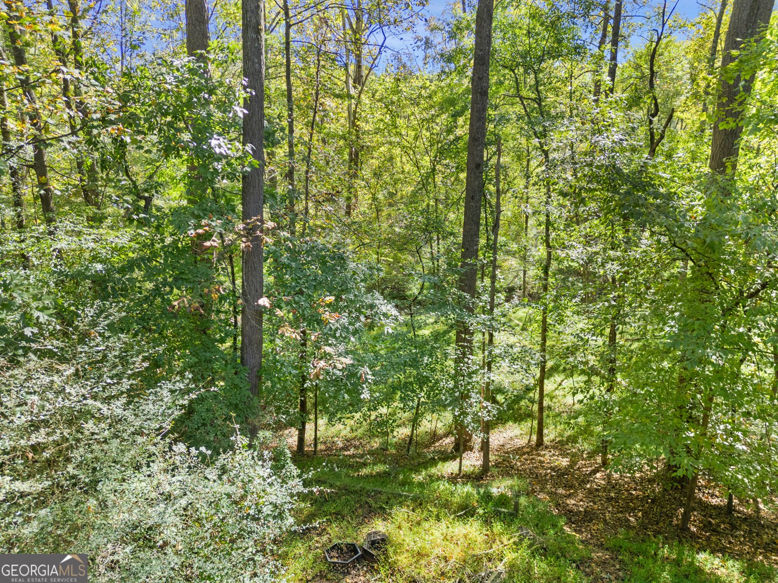 3354 FLORAL Court Suwanee - 32