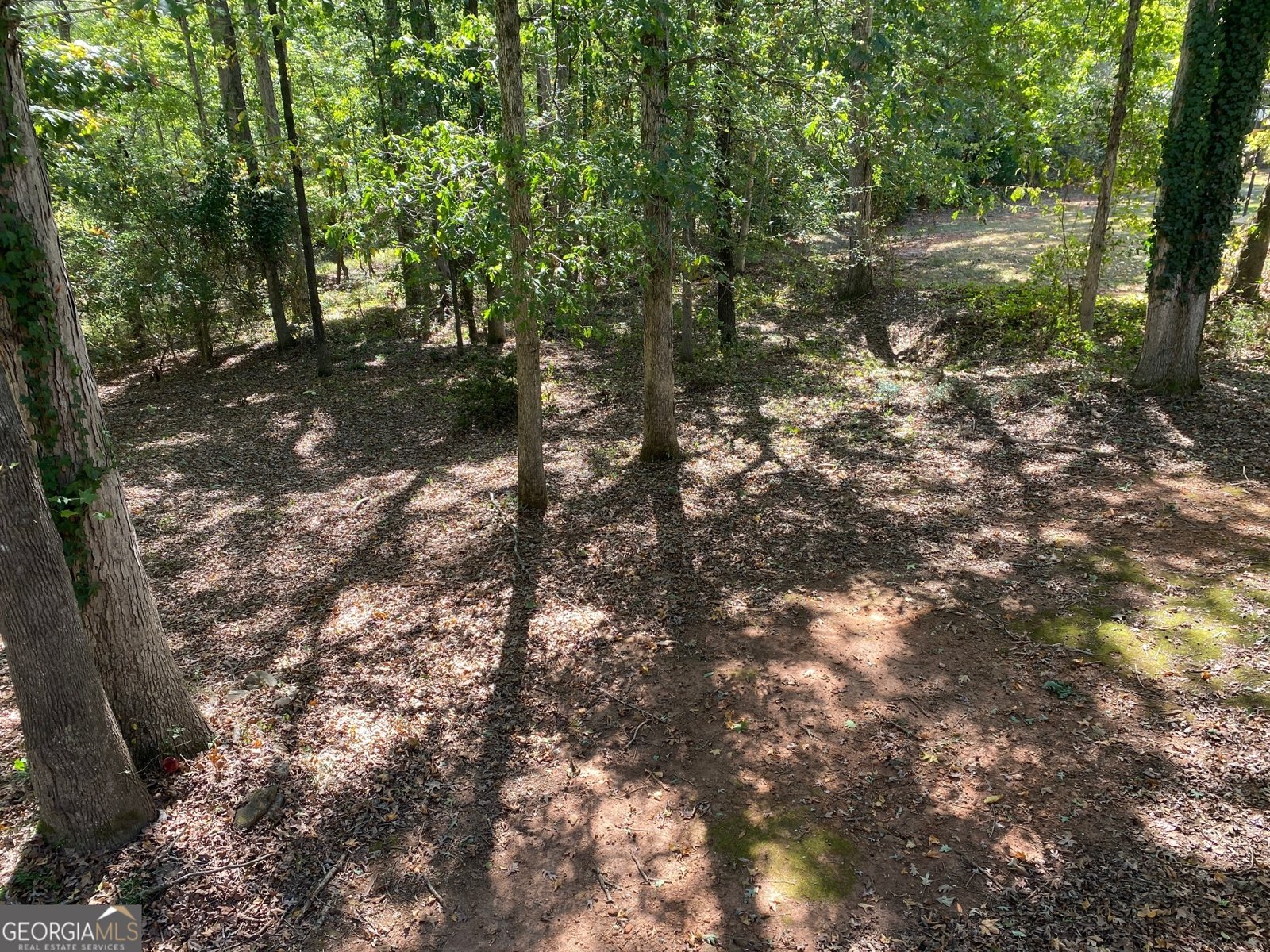 496 Walnut Creek Drive Stockbridge - 24