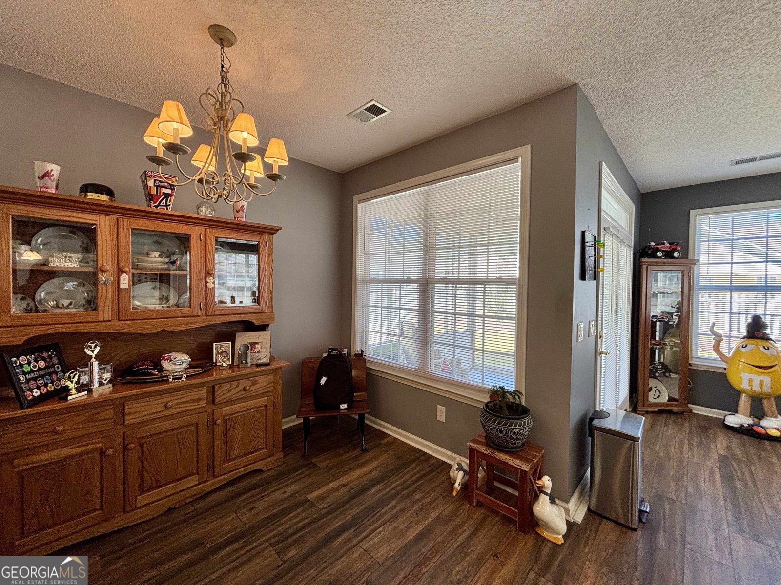 611 Wild Rose Court McDonough - 12