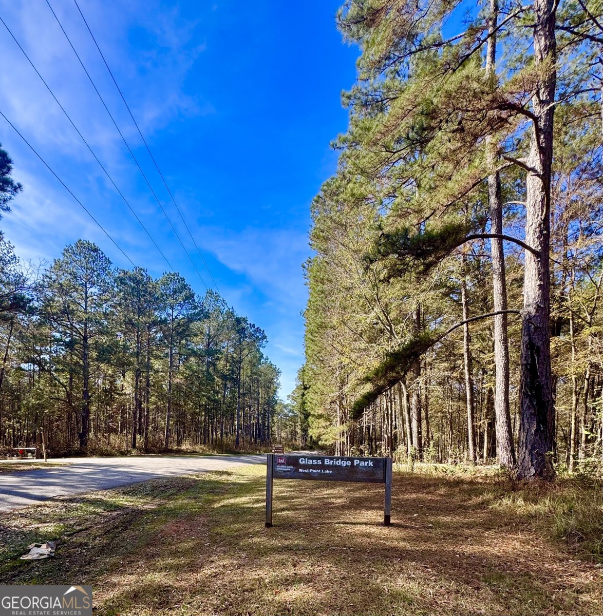 108 Hidden Springs Drive Lagrange - 41