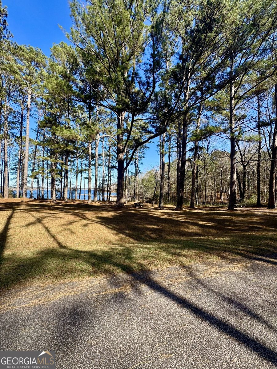 108 Hidden Springs Drive Lagrange - 43