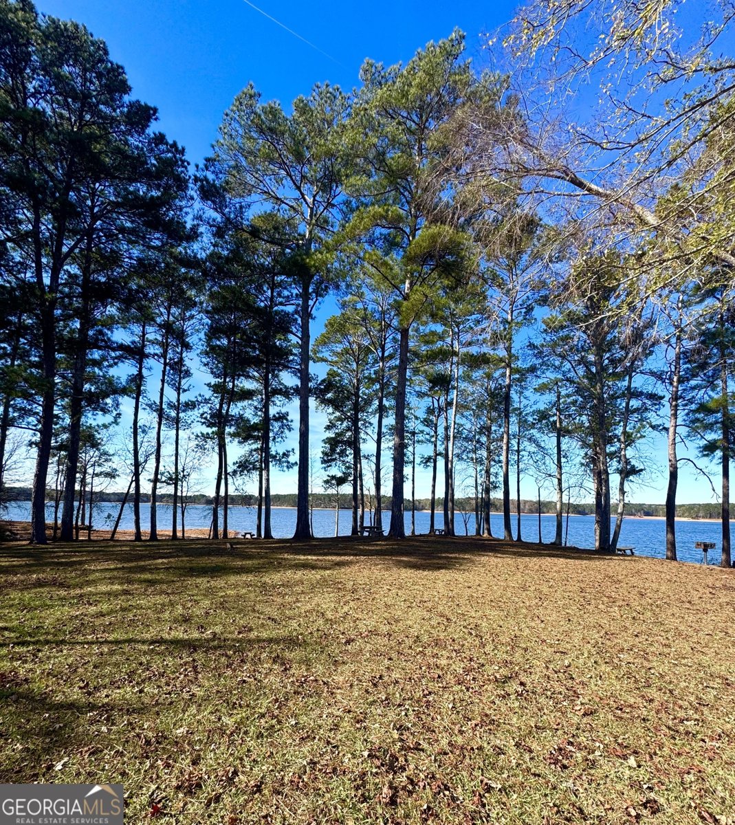 108 Hidden Springs Drive Lagrange - 44