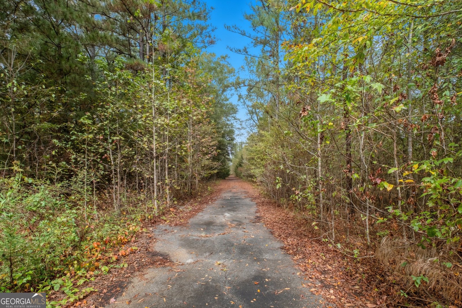 565 Raiford Road Cedartown - 37