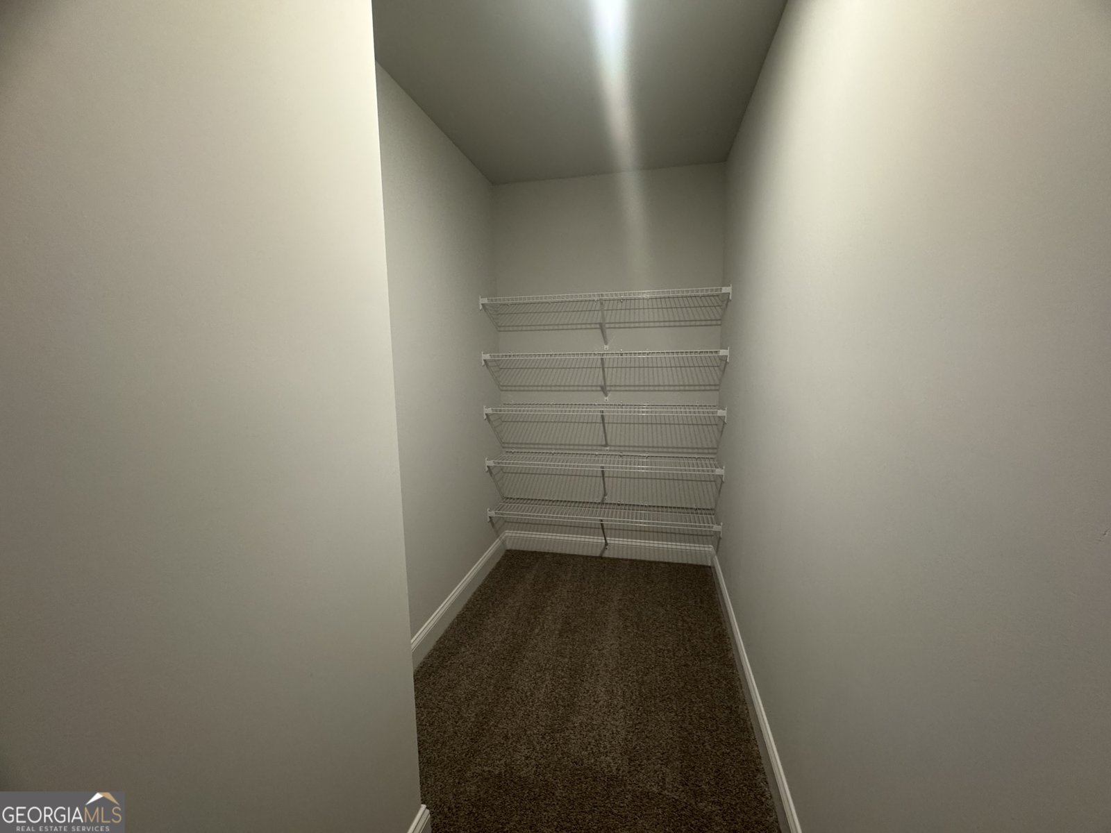 502 Walnut Creek Parkway Pendergrass - 17