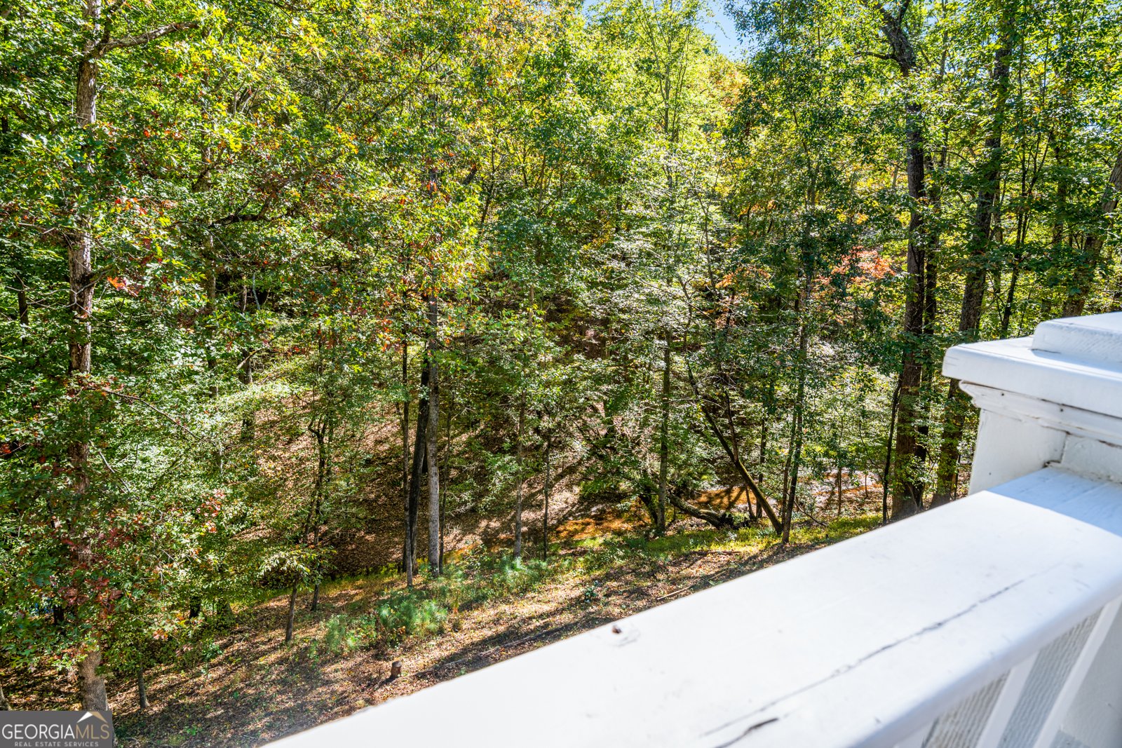 1722 Kanawha Trail Stone Mountain - 45