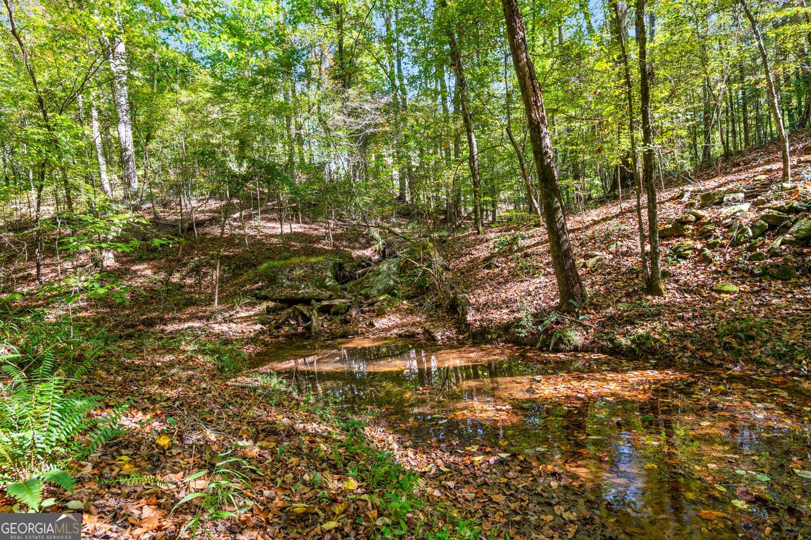 1722 Kanawha Trail Stone Mountain - 48