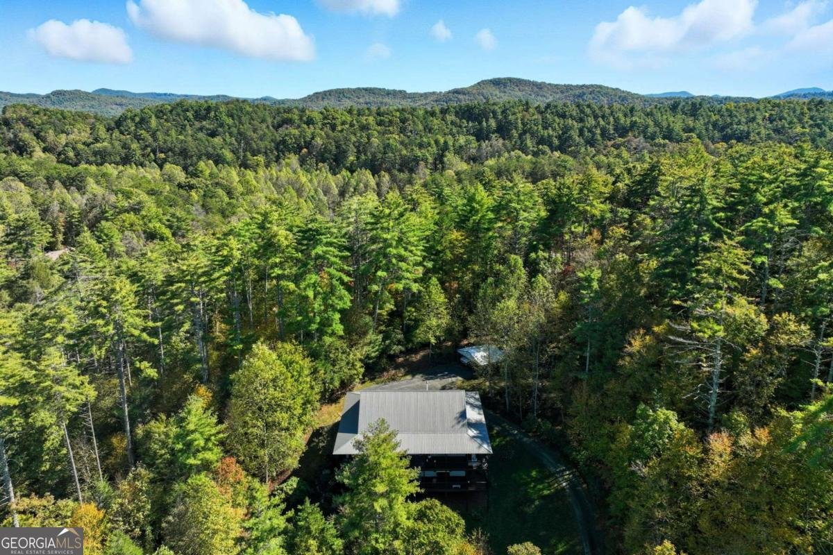 136 Ross Road Mineral Bluff - 1